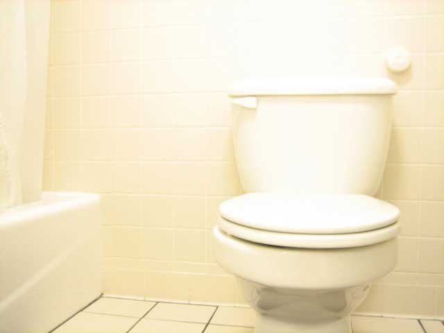 Reasons a Toilet Will Not Flush